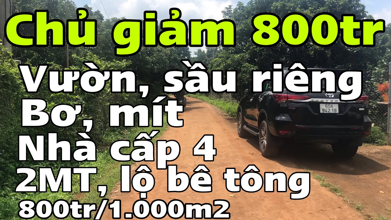2.5 sào, sầu riêng, bơ, nhà cấp 4, 2MT lộ bê tông, chủ ngộp, bảo bình cẩm mỹ