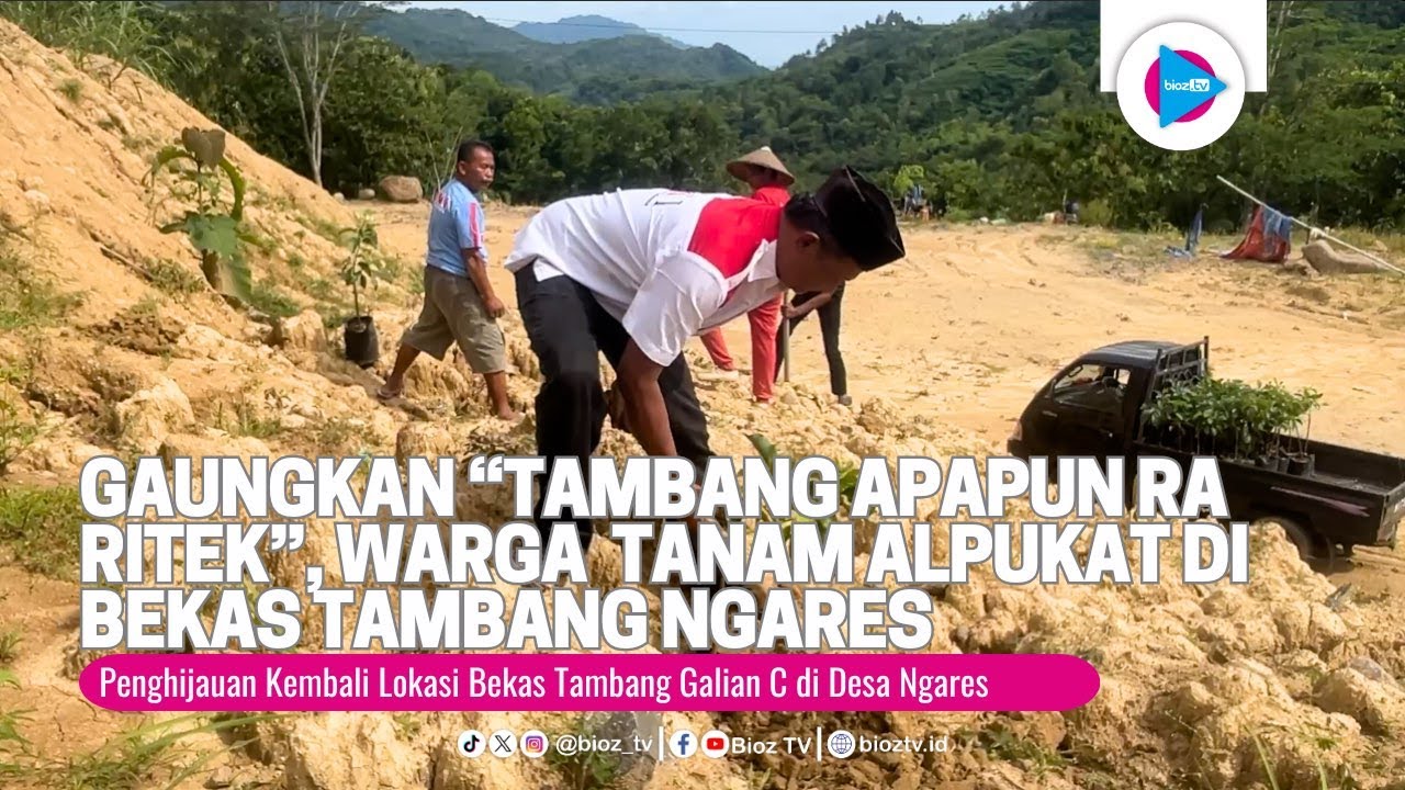 Gaungkan “Tambang Apapun Ra Ritek”, Warga Trenggalek Tanam Alpukat di Bekas Tambang Ngares - bioztv