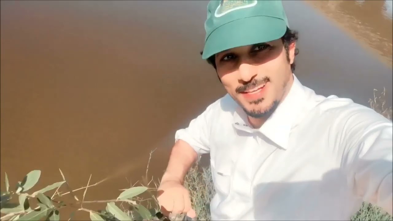 غابات البحر المانجروف في الرياض Avicennia marina الأيكة الساحلية Mangrove اشجار الشورى جمال البحر