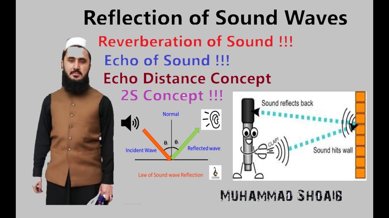 Reflection of Sound Waves |Reverberation |Echo |Lec # 07 |Class 10th |me at the zoo |amazon