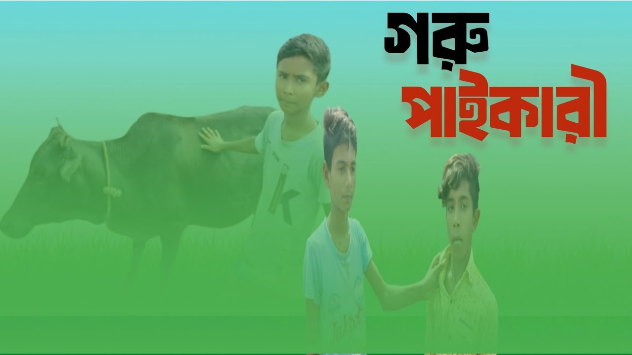গরু পাইকারী Goru paikari Bangla natok new video