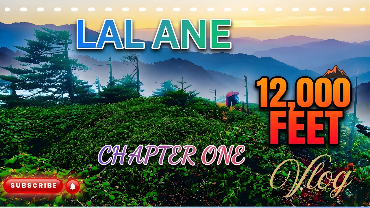 CHAPTER ONE 