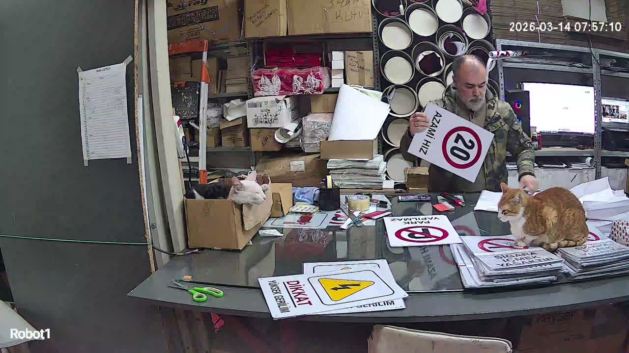 Veletler Keyf Yapıyor 