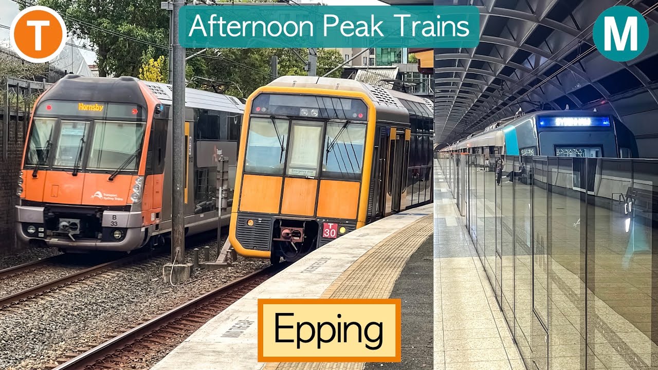 Transport for Sydney Vlog 1102: Epping Part 5 - Afternoon Peak Metro & Trains