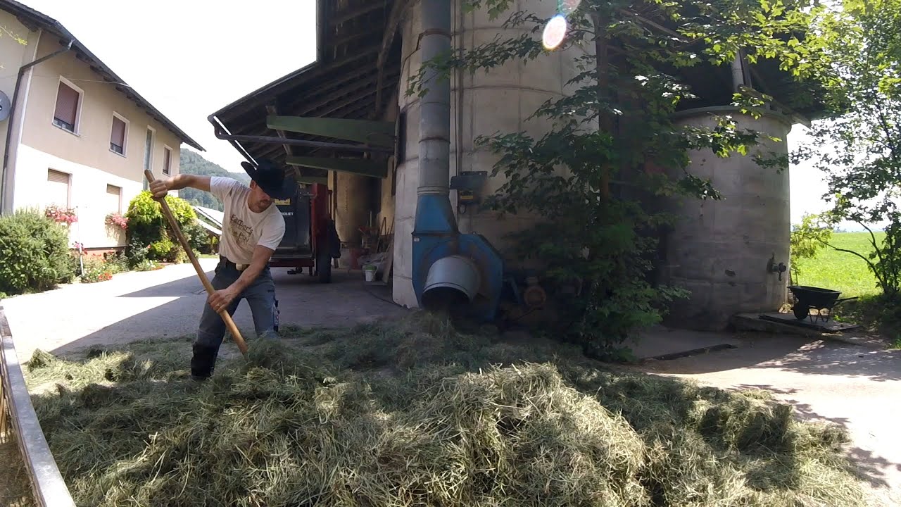 Making 2nd Cut Grass Silage and Hay for Dairy Cows