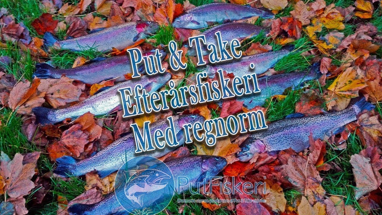 Put & Take Efterårsfiskeri Nov. (Hvilested)