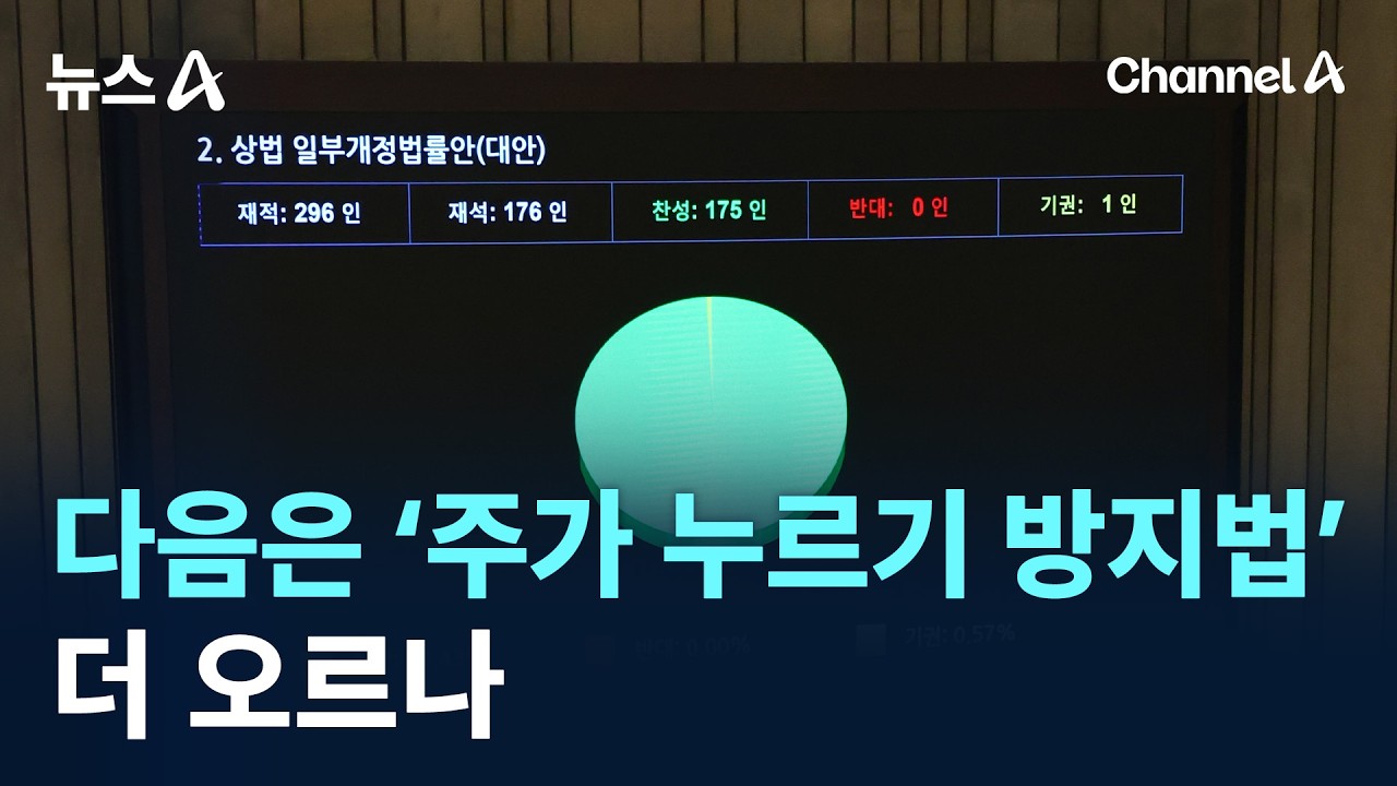 다음은 ‘주가 누르기 방지법’…더 오르나 / 채널A / 뉴스A