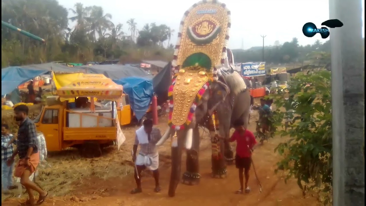 Vadanamkurussi chorottur kaavu Pooram 2026