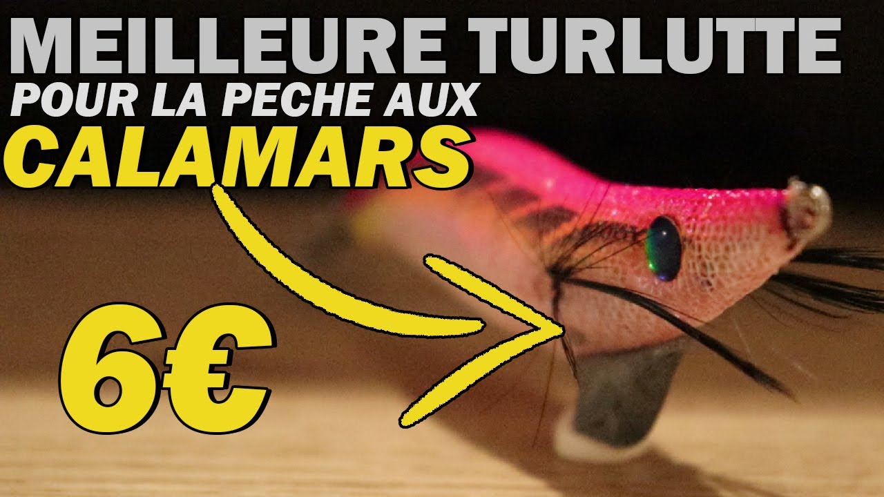 Pêcher des CALAMARS et des SEICHES à coup sur la nuit ! - Le meilleur leurre du moment