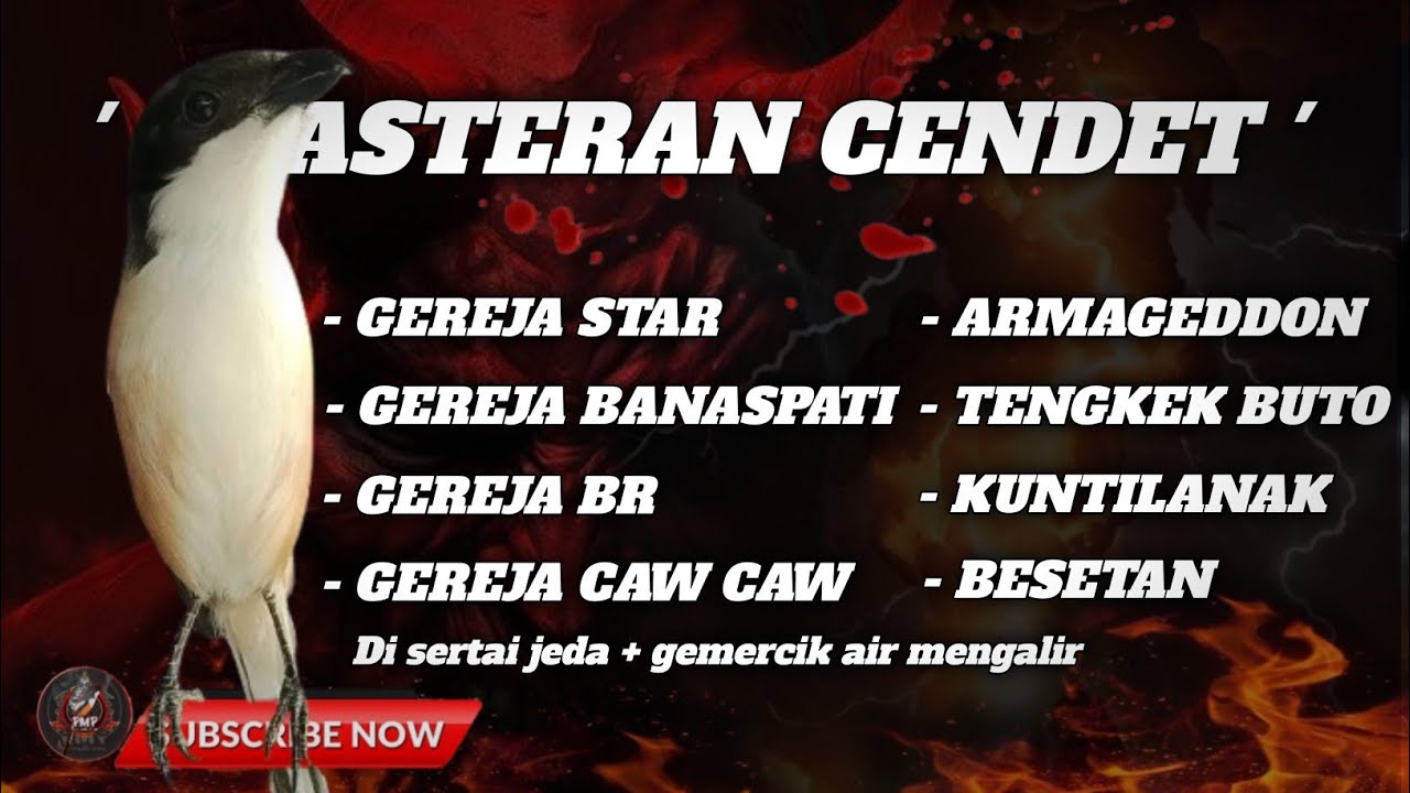 🔴 MASTERAN CENDET TERMEWAH || GEREJA STAR ,GEREJA BANASPATI ,GEREJA BR ,GEREJA CAW