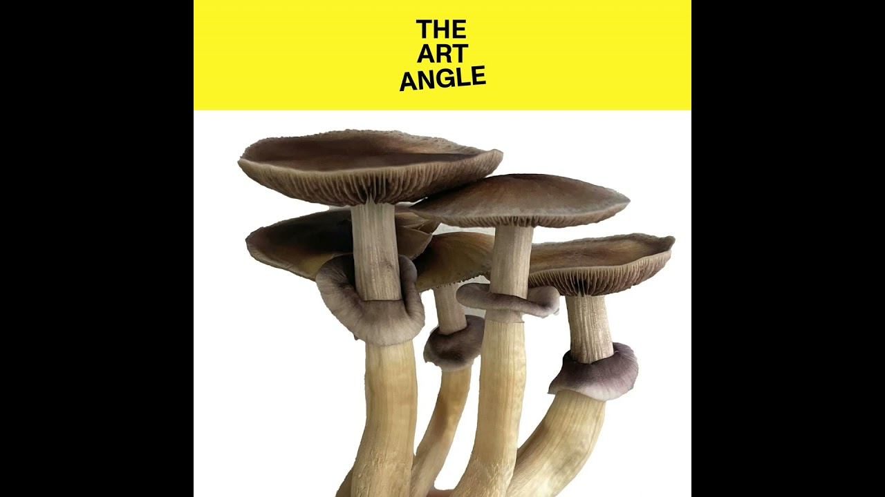 An Artist's Guide to Psychedelic Mushrooms
