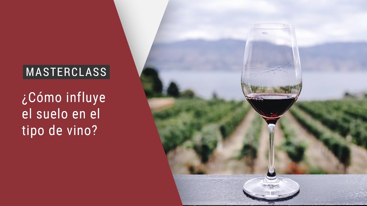 Masterclass: ¿Cómo influye el suelo en el tipo de vino?