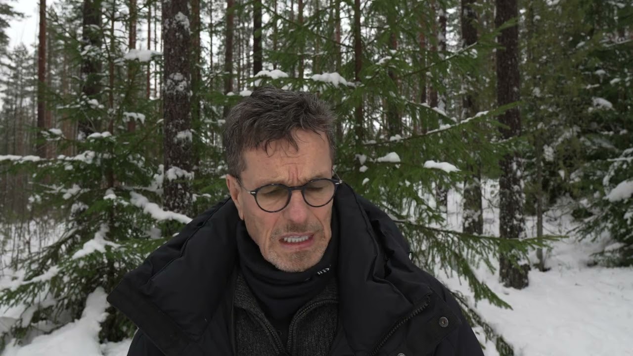 ILVESTEN KIIMAA JA VÄHÄN TRUMPIN TULLIKIIMAA