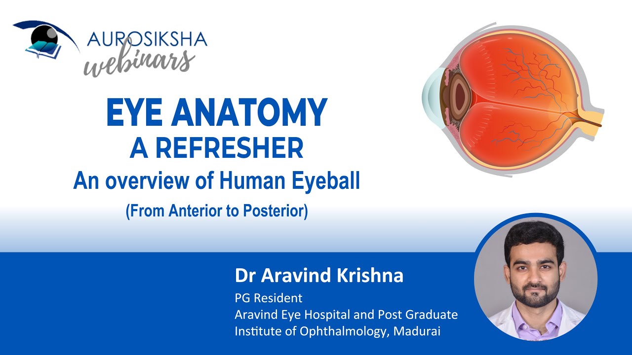 An Overview of Human Eyeball From Anterior to Posterior