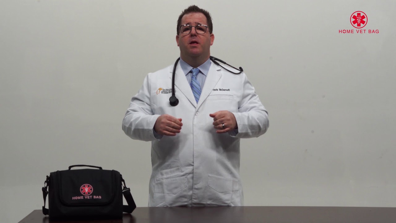 Pet Emergency Tips: Snakebites