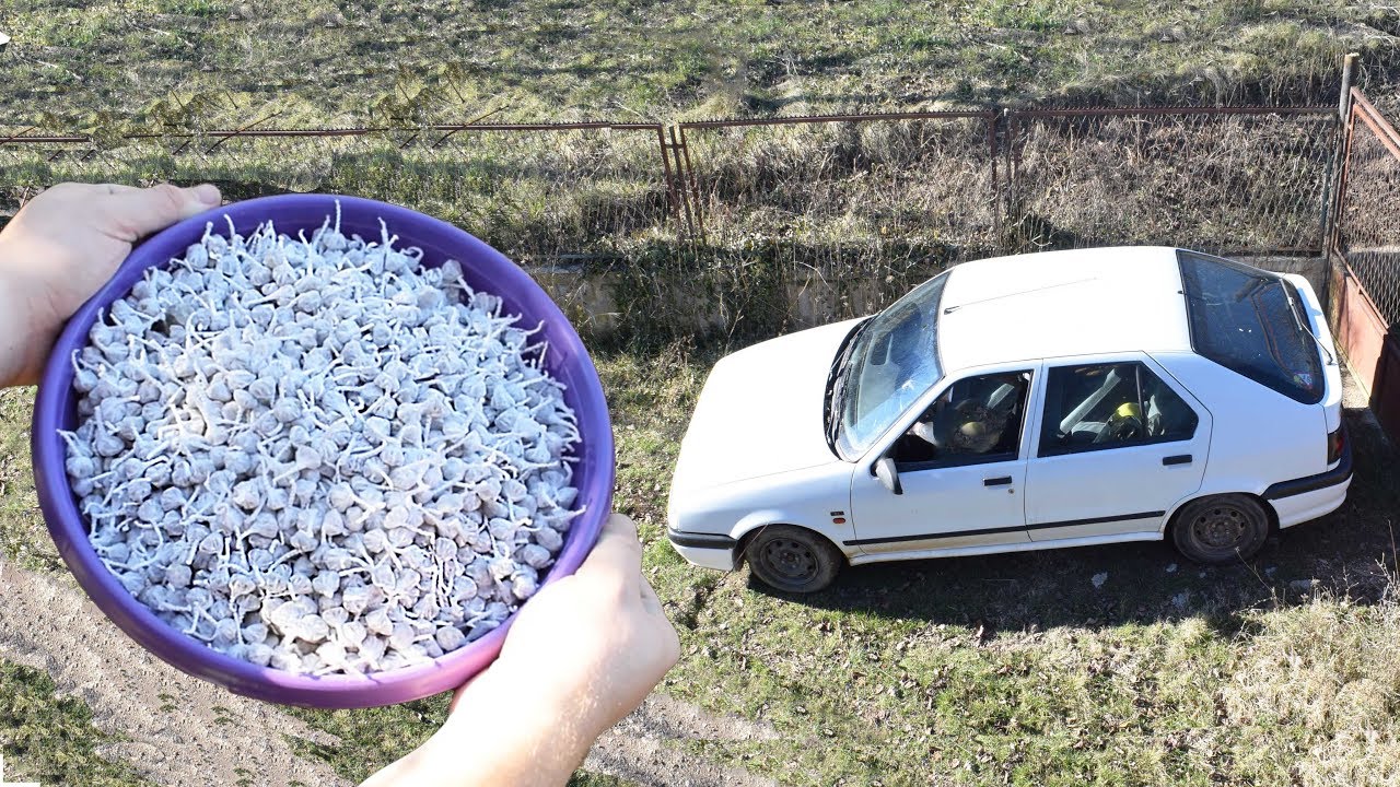 EXPERIMENT 10000 SNAPPERS FIRECRACKERS vs CAR