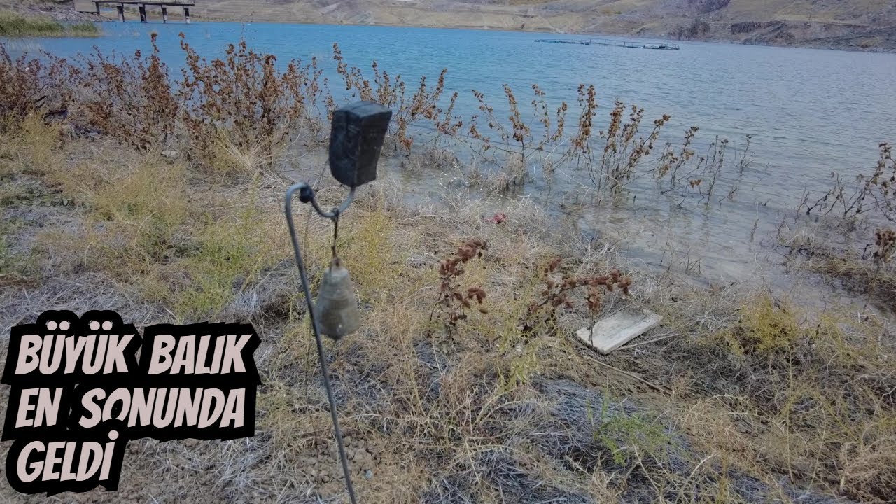 Balık Avı | Olta İle Trofe Sazan Avı | Aralık 2024