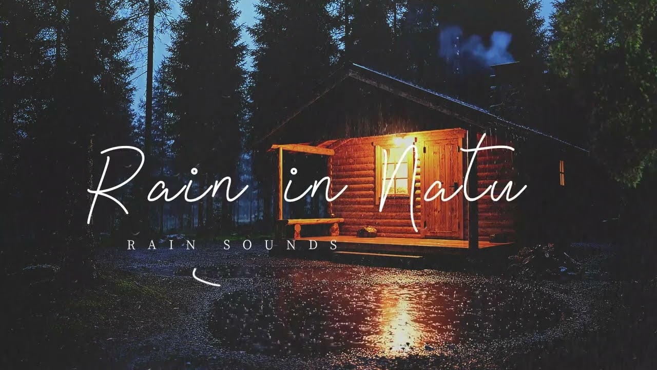 Rain Sound For Sleep | Calm Rain Sounds | Night Forest Ambience