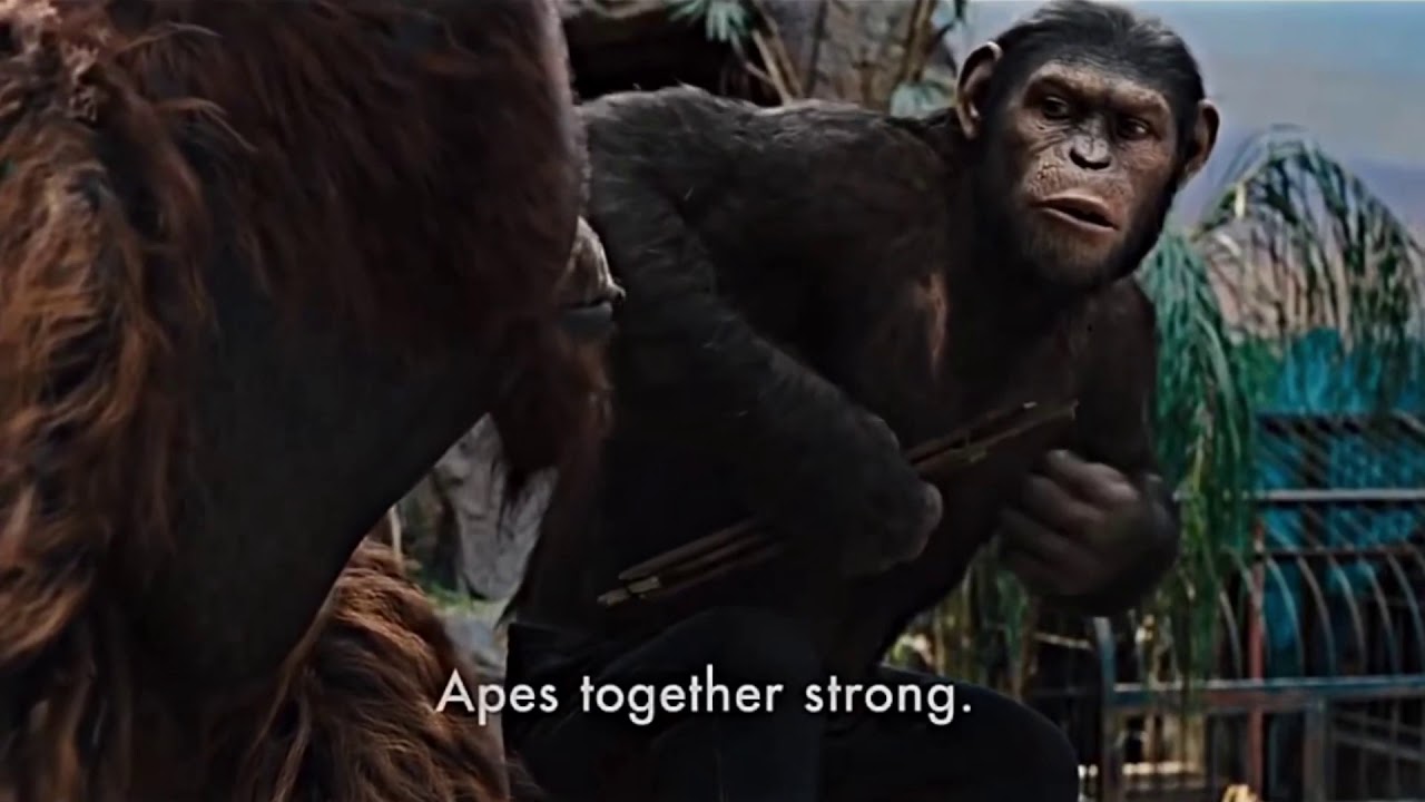 Apes together strong *HD*