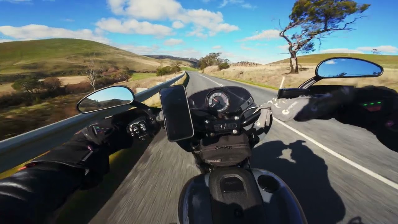 Raw POV Ride | Southern Tasmania by Harley-Davidson | Pure Country Roads & Engine Sound