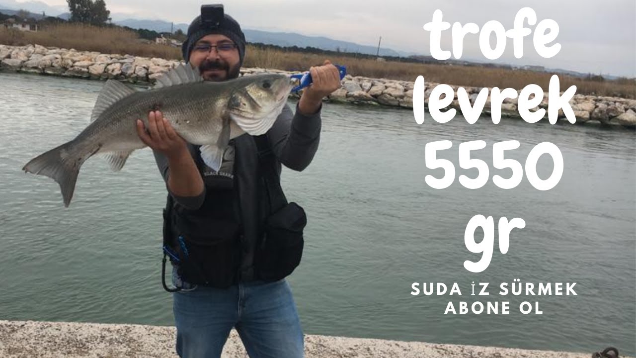 Trofe levrek avı. Silikonla levrek avı.
