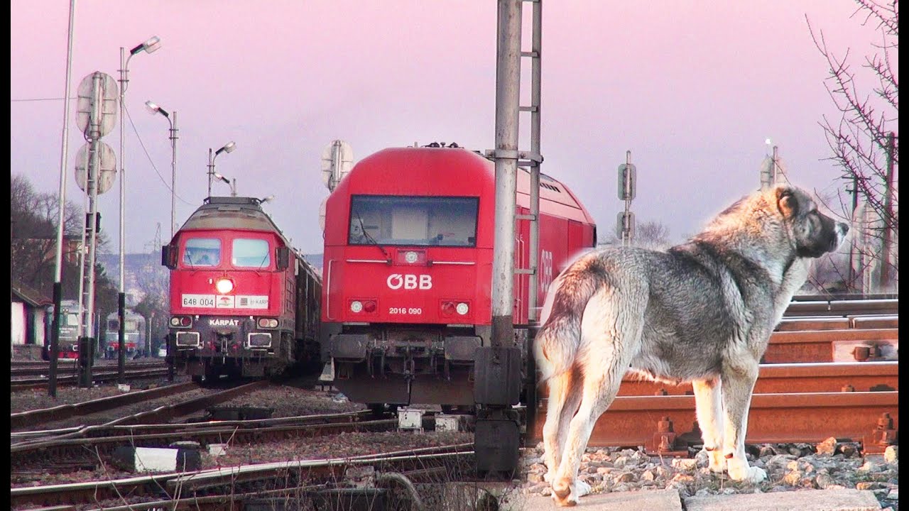 Siemens Hercules OBB 2016 090-Episcopia Bihor-Rom&acirc;nia-21.03.2022