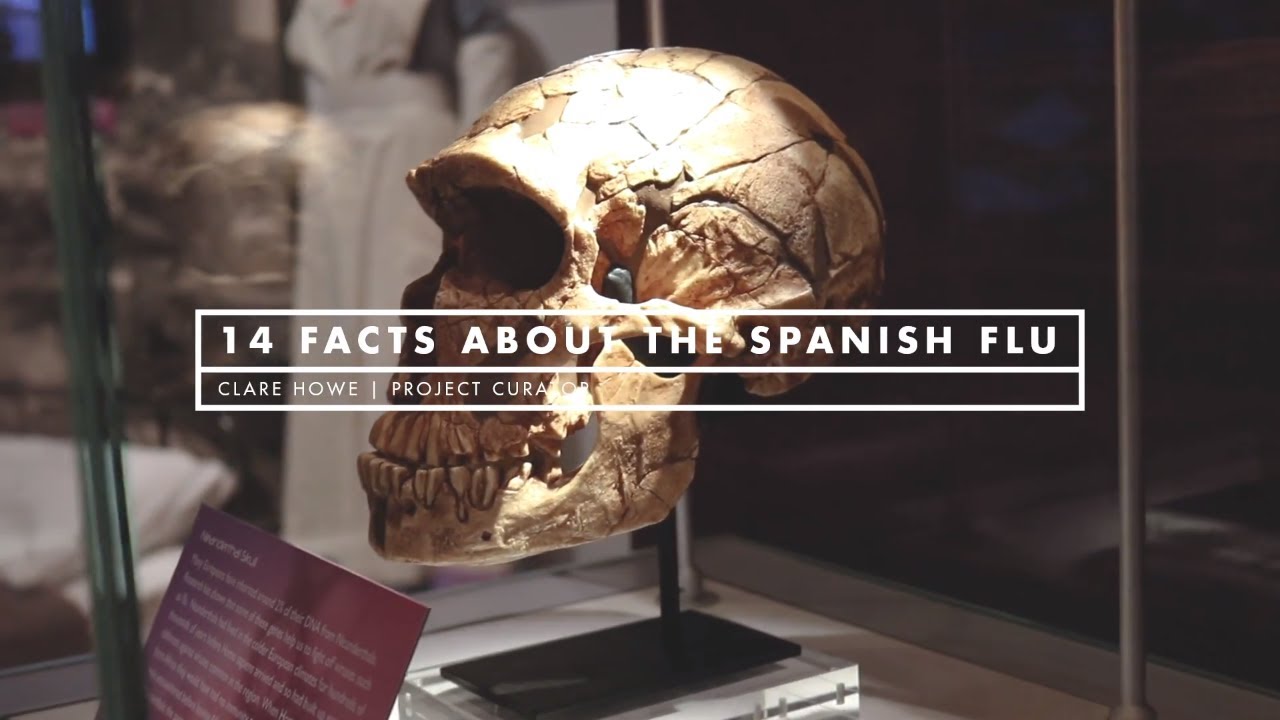 14 Facts About The Spanish Flu | The Shorely