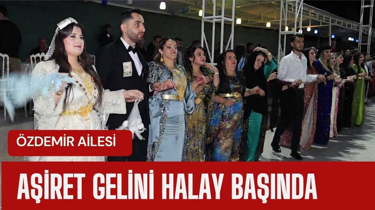 Jirki Aşireti Özdemir Ailesi Feyyaz Şirin çiftin görkemli düğünü #imatrekani