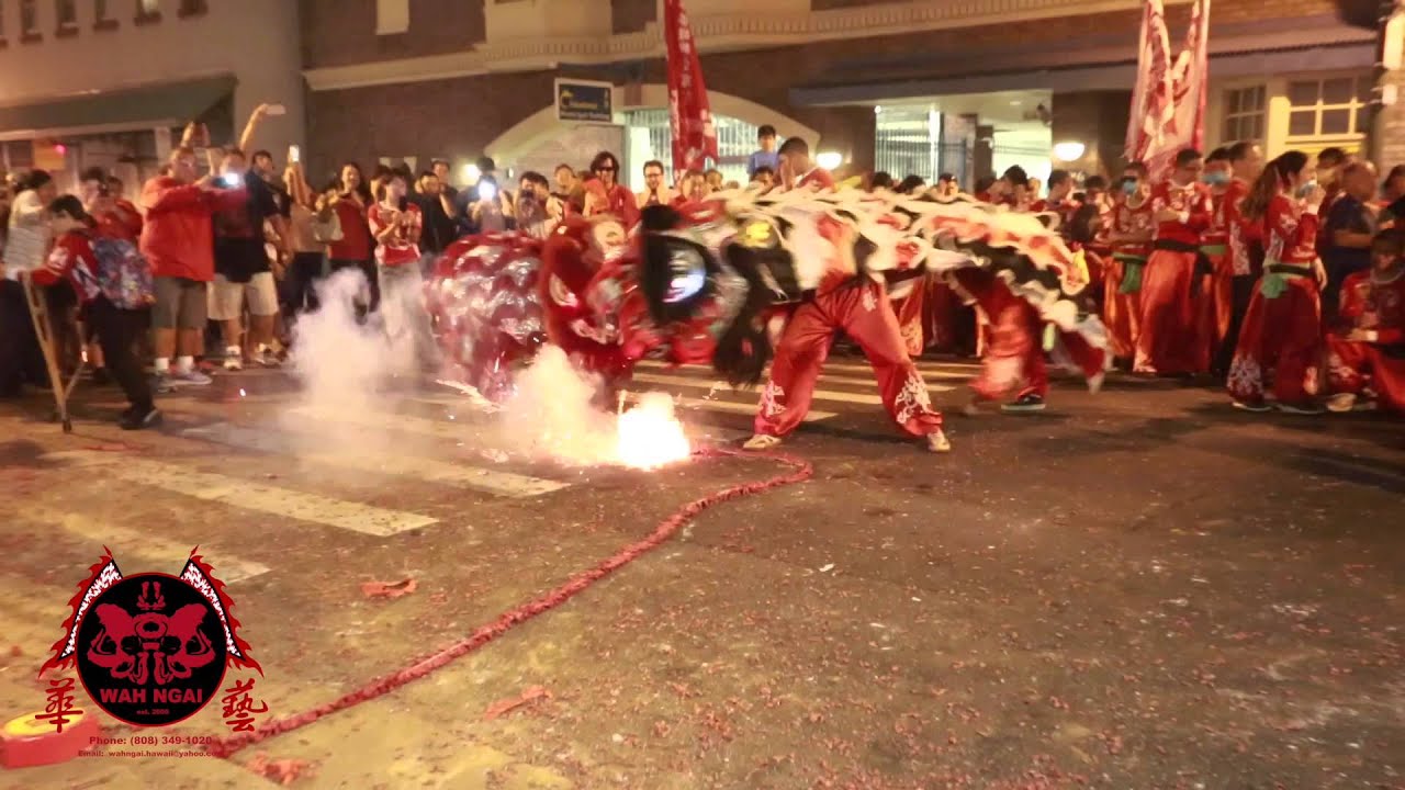 feb 13 choy chang 2015 華藝醒獅會