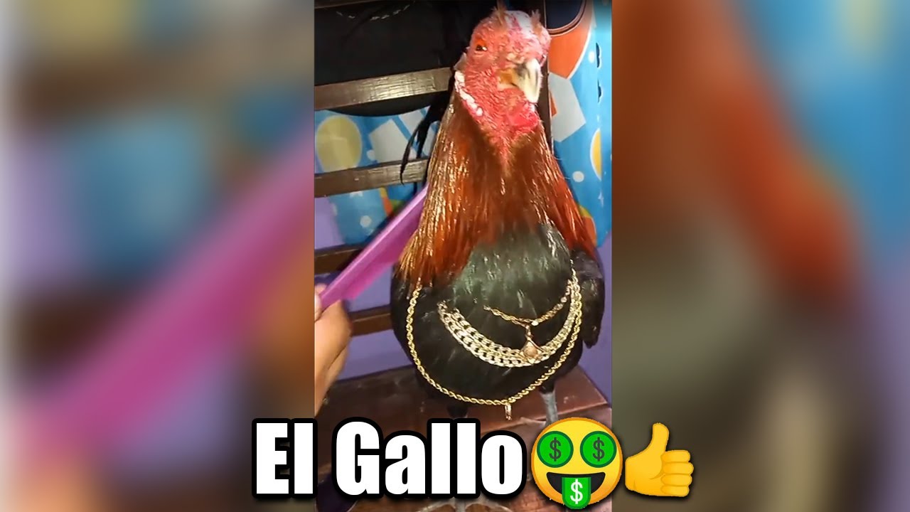 MEMES MUY XD #140