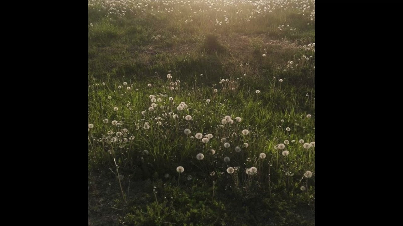 Bon Iver x Phoebe Bridgers Type Beat 2026 - 