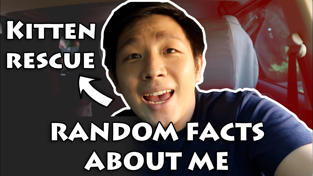 KITTEN RESCUE?! | Random Facts About Me | Jerry Cua