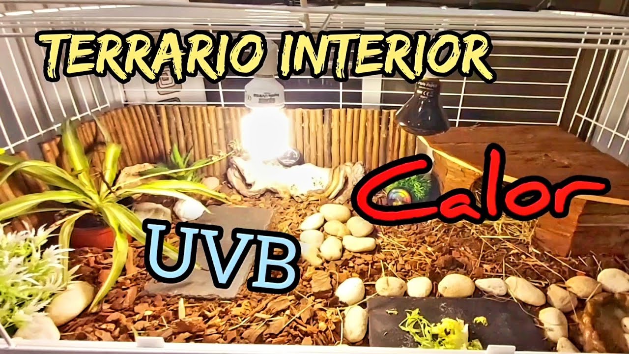 terrario interior luz UVB zona de calor bombillas medidas