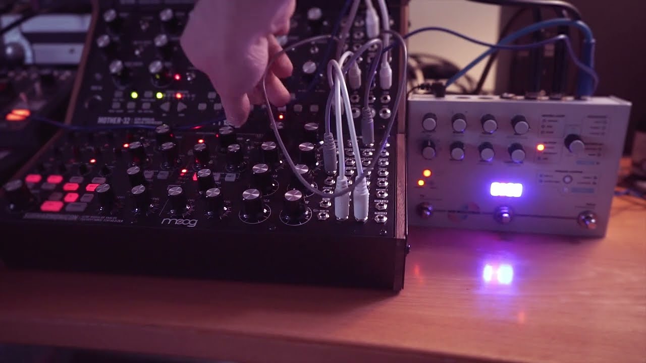 Ambient Joy - Live Performance w/ Moog Semi-Modular (Moog Sound Studio 3, Grandmother, Matriarch)