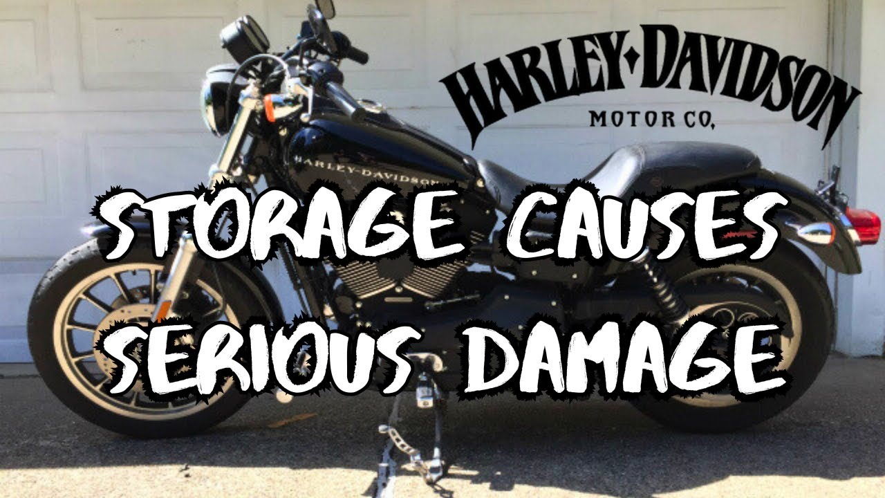 Зимнее хранение Harley-Davidson предотвращает серьёзные повреждения
