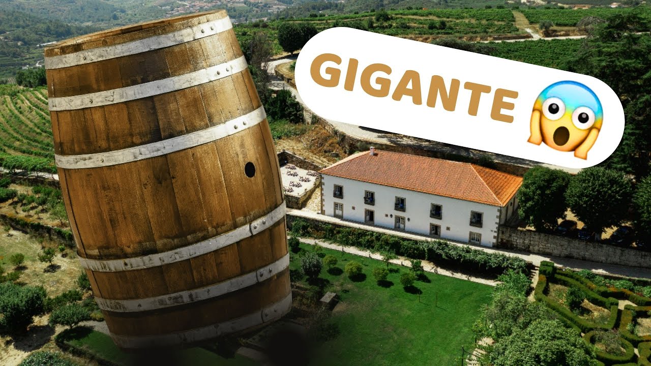 CAMINHO DO VINHO EM SÃO JOSÉ DOS PINHAIS: 7 lugares que você precisa conhecer