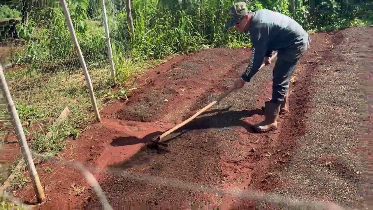 PREPARANDO O SOLO PARA COLOCAR MULCHING NOS CANTEIROS