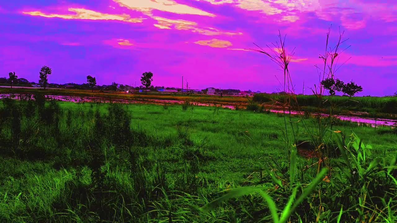 Japanese Ambient Sleep Music 🌿 Soft Piano, Gentle Koto & Breeze Atmosphere (Seamless Loop)