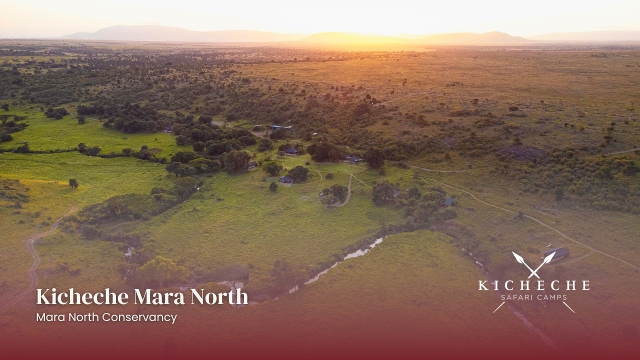 This is Kicheche Mara North @KichecheCamps