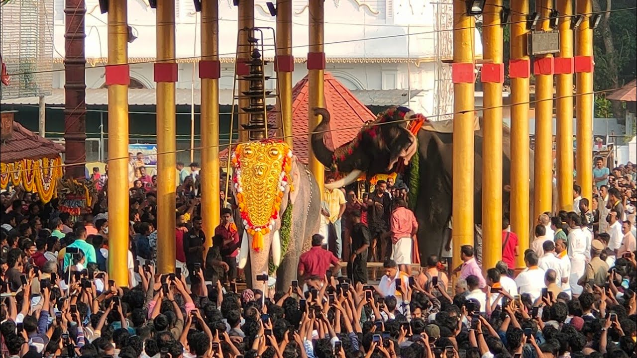 ചെറായി തലപ്പൊക്കം  2025 തൃക്കടവൂർ ശിവരാജു / കുട്ടൻകുളങ്ങര അർജ്ജുനൻ /Cherai Thalapokkam 2025