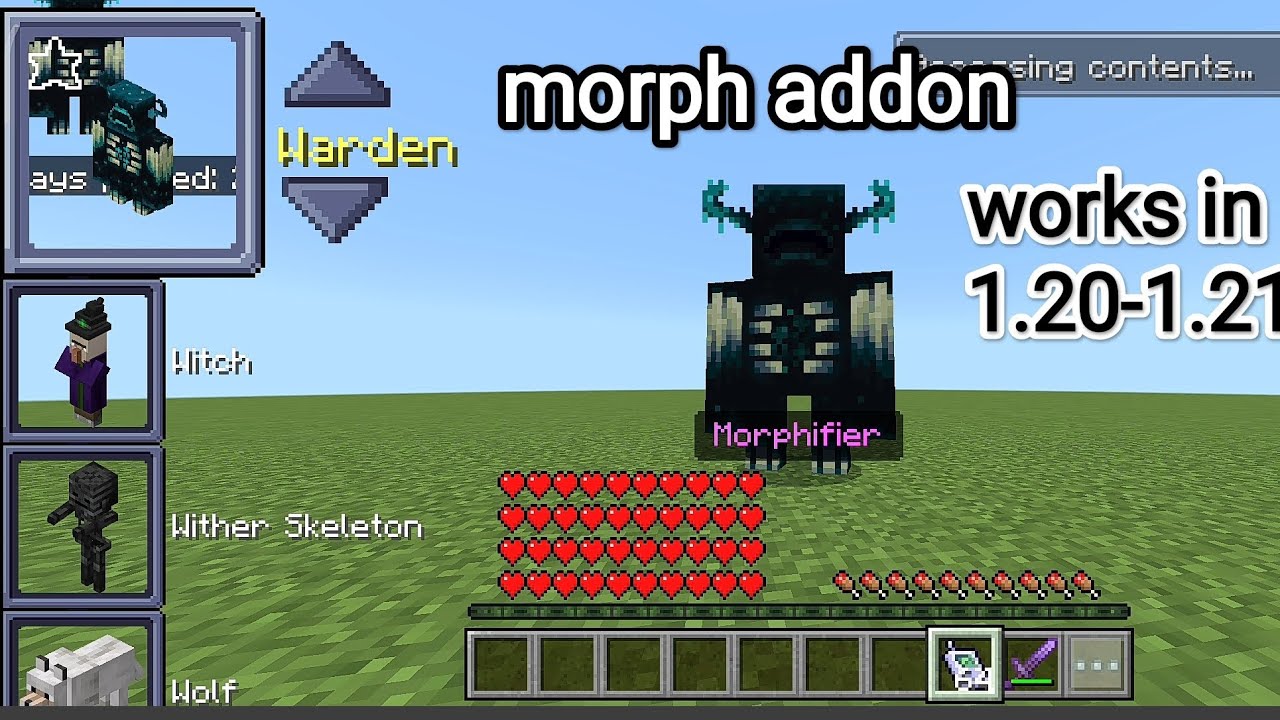 morph  addon Minecraft bedrock 1.21