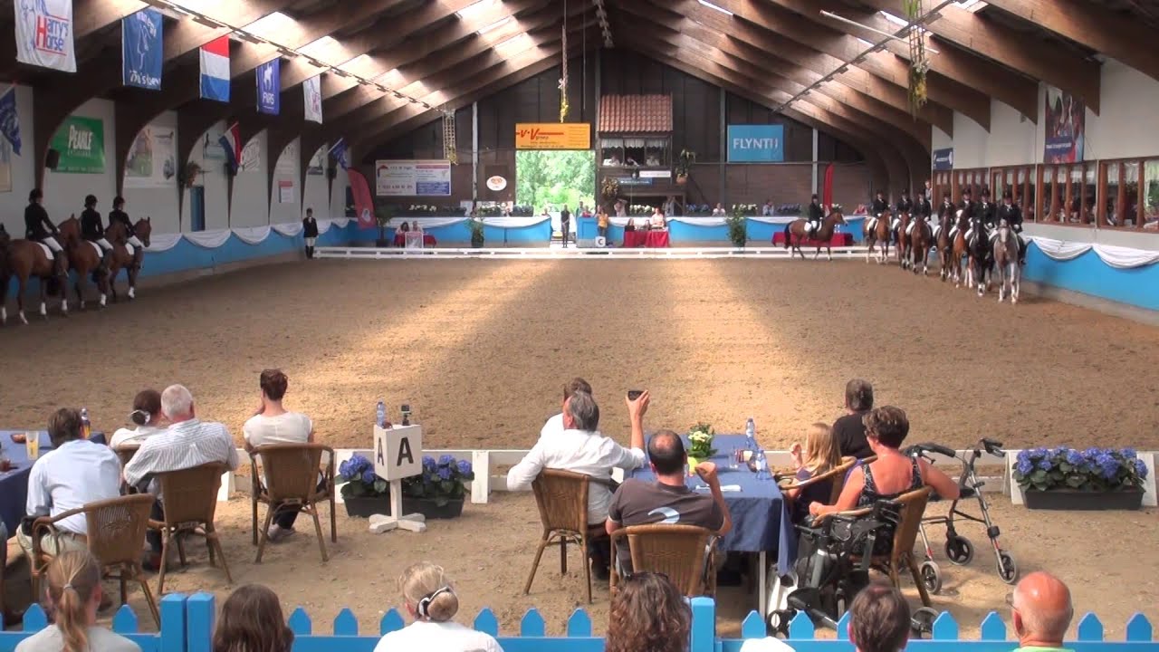 NK Carrousel; Eredivisie voorronde 25-05-2014 - Proef Hillegersberg Kids