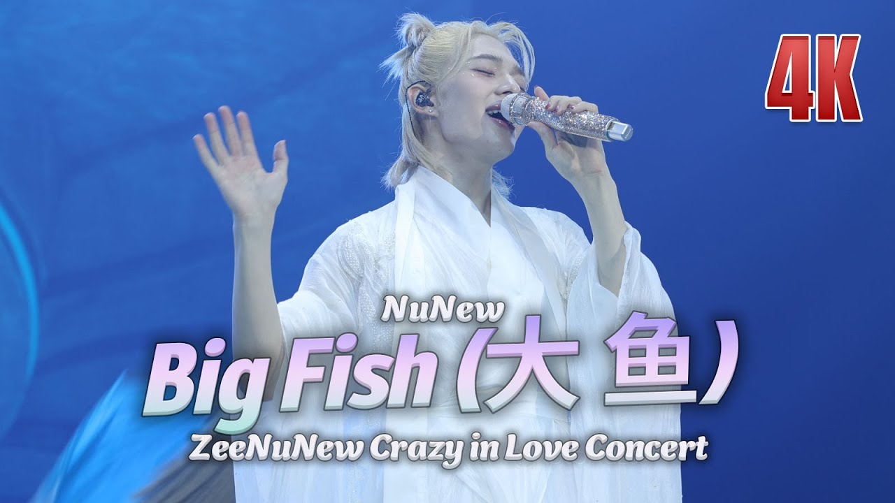 Big Fish (大 鱼) (NuNew) at ZeeNuNew Crazy In Love Concert
