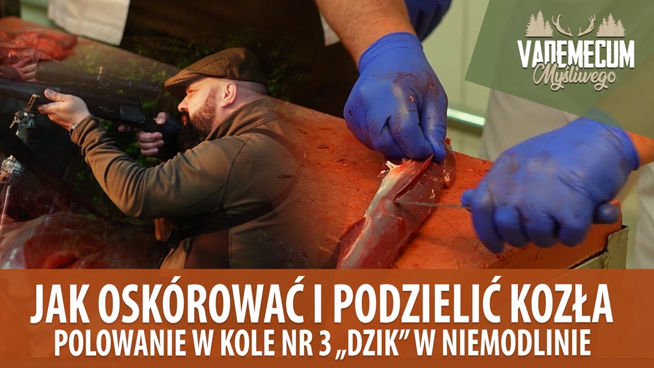 # 119 Jak oskórować i podzielić KOZŁA - Polowanie w kole nr 3 