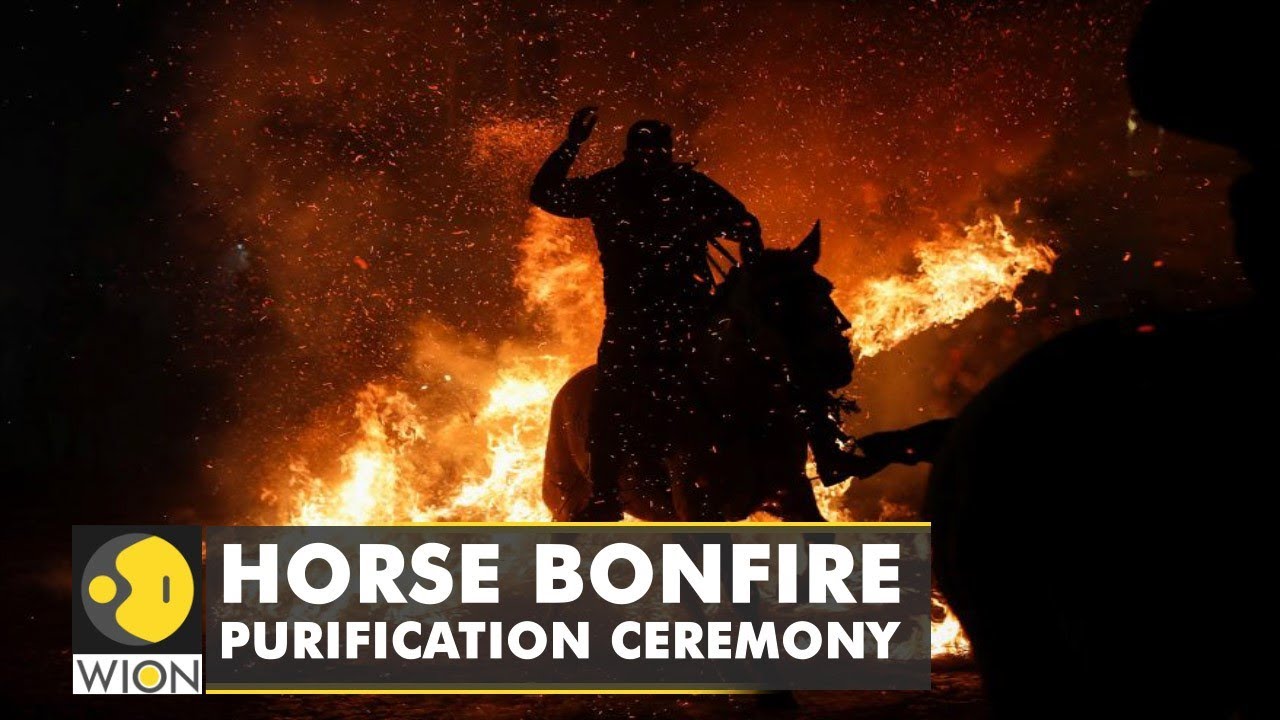 'Las Luminarias' festival occurs early in Spain, animal rights group critical of event | World News