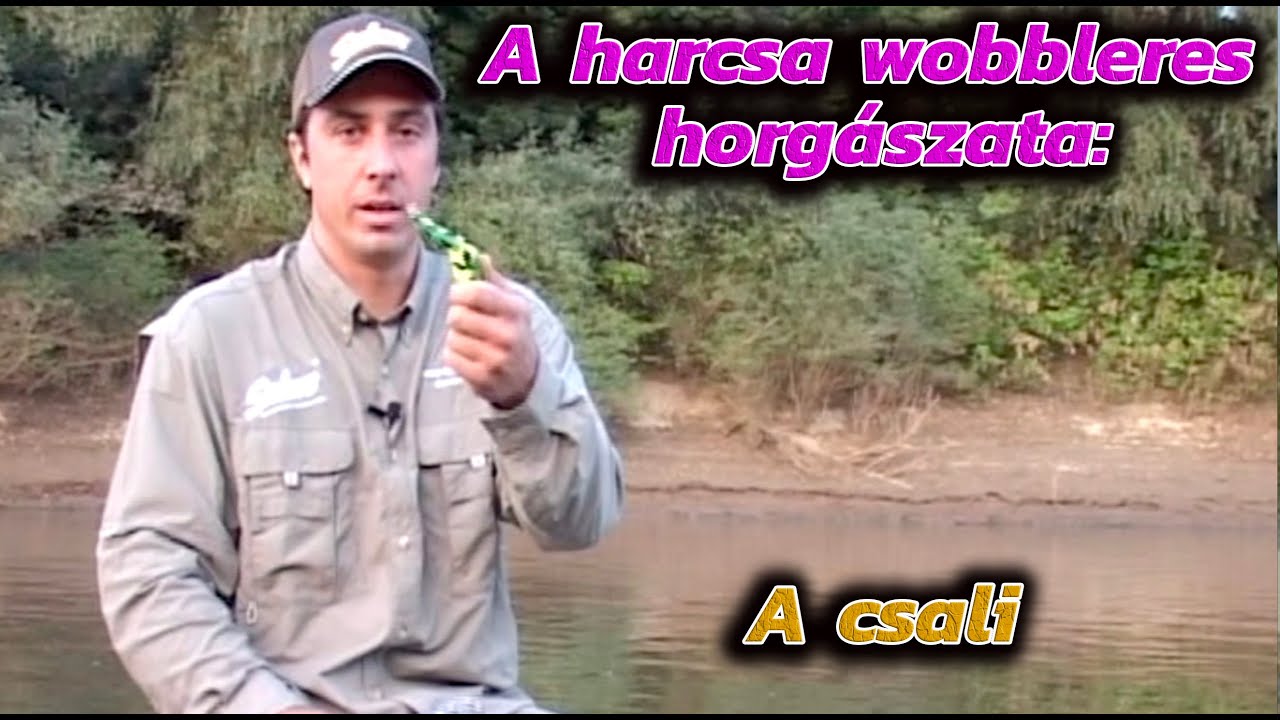 A harcsa wobbleres horgászata: A csali