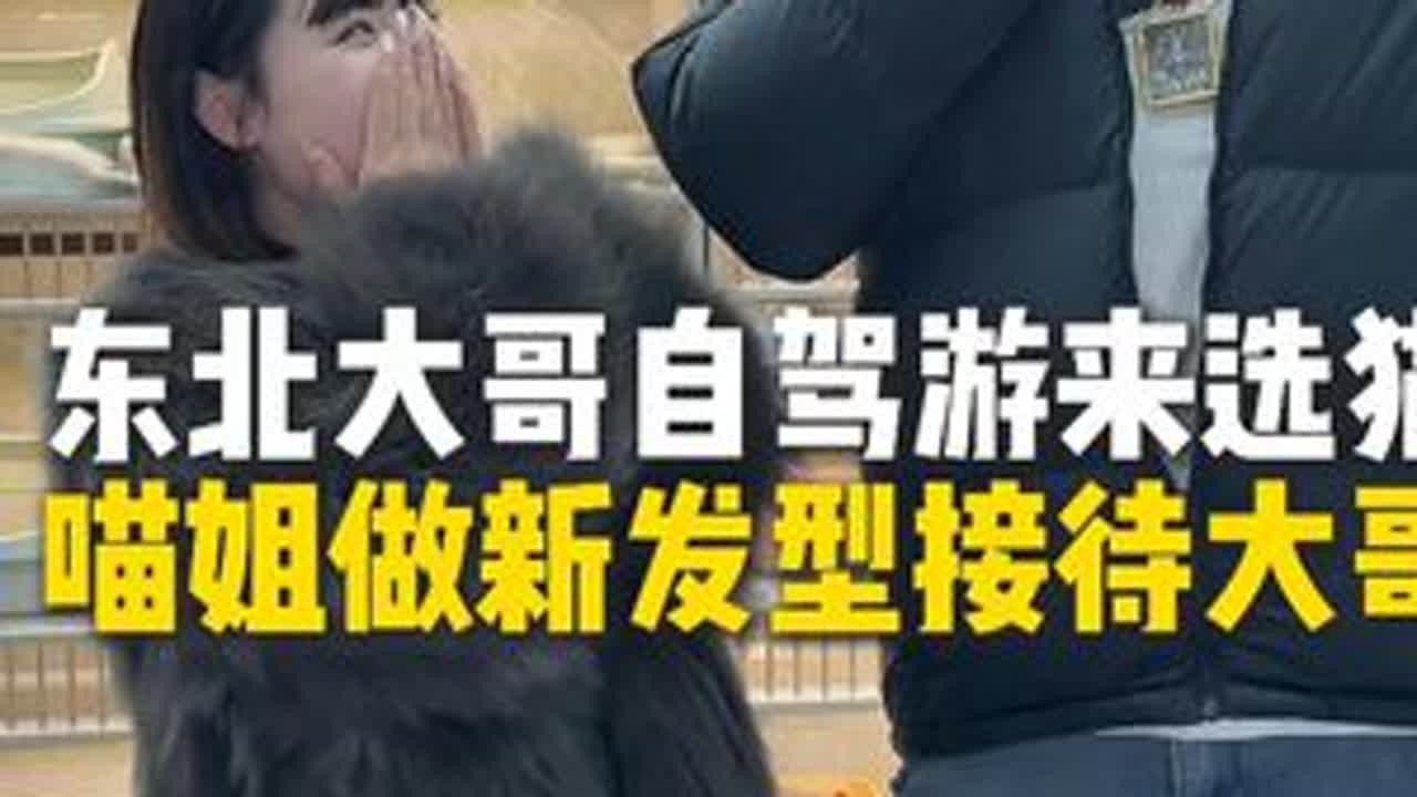 这东北大哥也是很直爽了！#猫咪 #东北人 #粉丝 #喵姐养猫 #缅因猫
