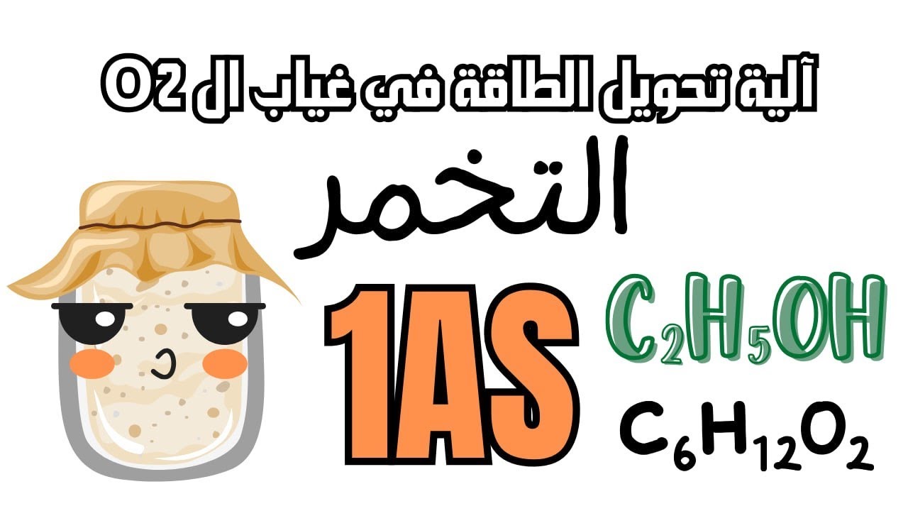 التخمر /آلية تحويل الطاقة في وسط لا هوائي/شرح ممتع و سريع😁🫶🏻أولى ثانوي 🧐 