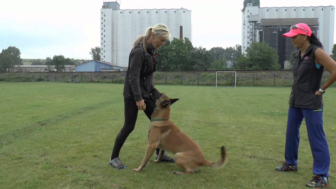 Aťa 14 months