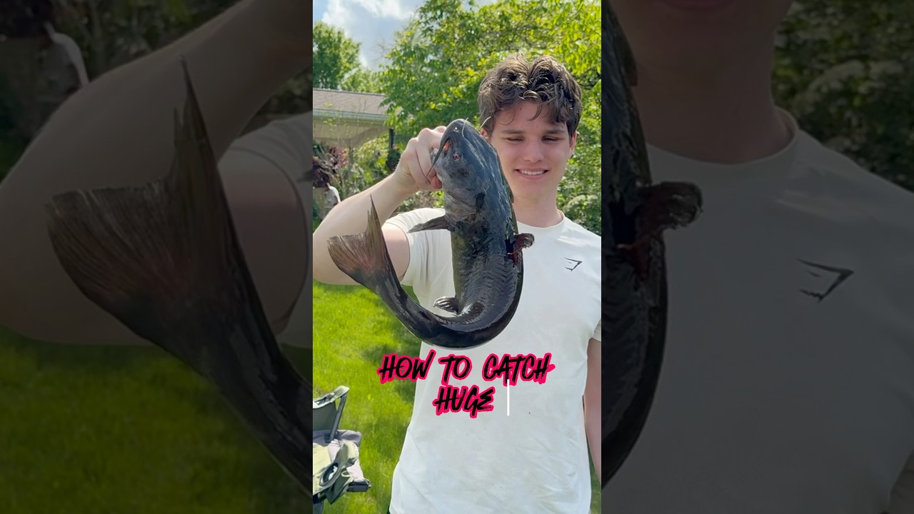 Catching GIANT Catfish In The Most DISGUSTING Pond! 